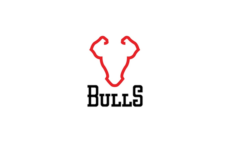 Bulls Branding